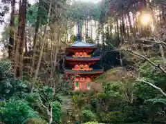 岩船寺の塔