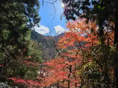 室生寺(奈良県)