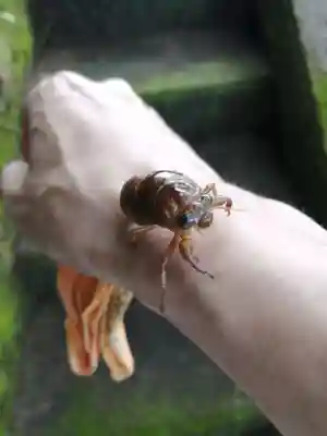 常福寺(三重県)