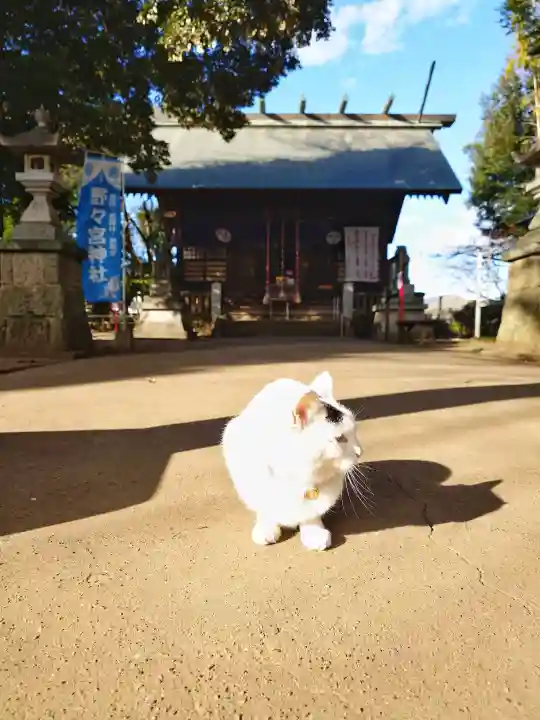 野々宮神社の{uncategorized: "未分類", other: "その他", undefined: "問題あり", building: "その他建物", grave: "お墓", sacred_gate: "鳥居", guardian: "狛犬", statue: "像", buddha: "仏像", history: "歴史", nature: "自然", garden: "庭園", animal: "動物", pagoda: "塔", temizu: "手水舎", mountain_gate: "山門・神門", sanctuary: "本殿・本堂", subordinate: "末社・摂社", art: "芸術", scenery: "景色", jizo: "地蔵", ema: "絵馬", goshuin: "御朱印", omikuji: "おみくじ", items: "授与品その他", amulet: "お守り", goshuincho: "御朱印帳", eats: "食事", festival: "お祭り", votive_dance: "神楽", shichigosan: "七五三参", wedding: "結婚式", experience: "体験その他", initially: "初詣", around: "周辺", anti_infection: "感染症対策"}