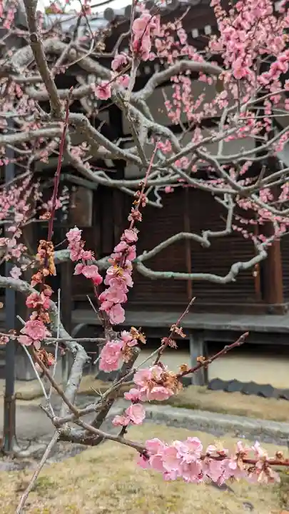 真正極楽寺(真如堂)(京都府)