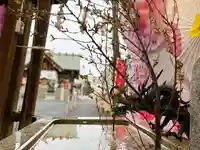 札幌諏訪神社の手水舎