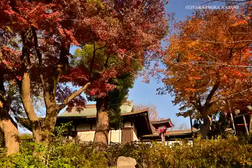 清水観音堂の庭園