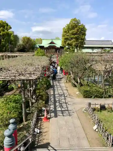亀戸天神社の庭園