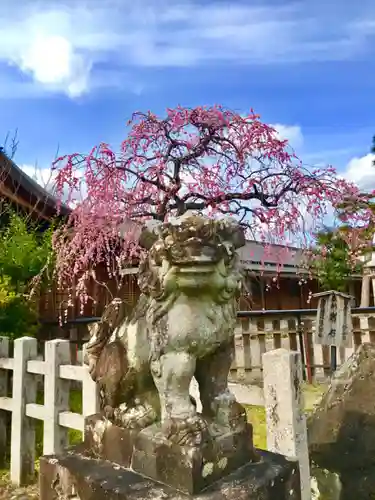 車折神社の狛犬