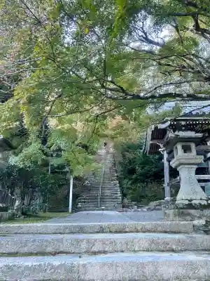 二尊院の{uncategorized: "未分類", other: "その他", undefined: "問題あり", building: "その他建物", grave: "お墓", sacred_gate: "鳥居", guardian: "狛犬", statue: "像", buddha: "仏像", history: "歴史", nature: "自然", garden: "庭園", animal: "動物", pagoda: "塔", temizu: "手水舎", mountain_gate: "山門・神門", sanctuary: "本殿・本堂", subordinate: "末社・摂社", art: "芸術", scenery: "景色", jizo: "地蔵", ema: "絵馬", goshuin: "御朱印", omikuji: "おみくじ", items: "授与品その他", amulet: "お守り", goshuincho: "御朱印帳", eats: "食事", festival: "お祭り", votive_dance: "神楽", shichigosan: "七五三参", wedding: "結婚式", experience: "体験その他", initially: "初詣", around: "周辺", anti_infection: "感染症対策"}