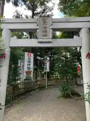 亀ケ池八幡宮の鳥居