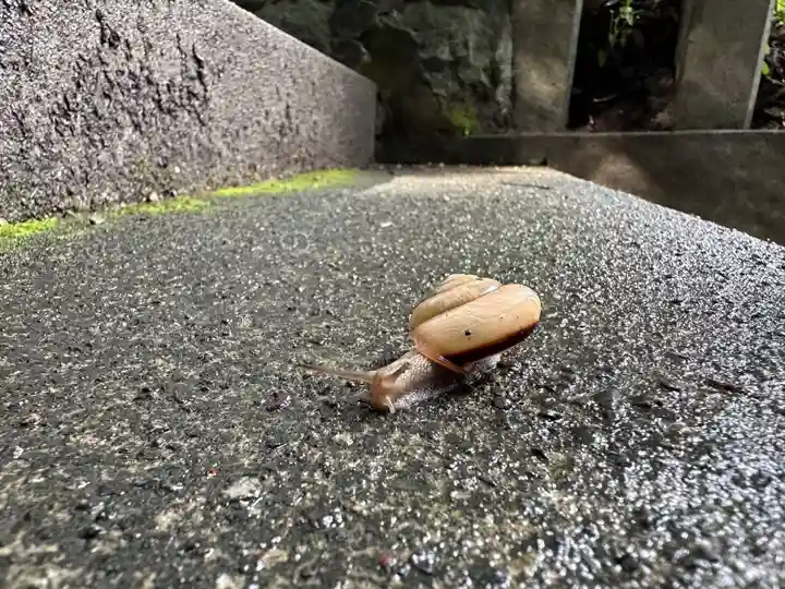狭野神社(宮崎県)