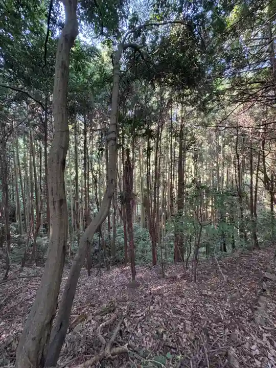 鳴滝奥の院(徳島県)