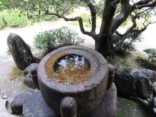 曼殊院門跡の庭園