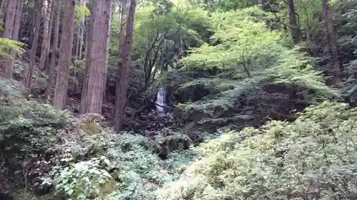 杉神社の自然