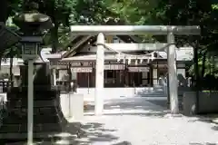 新琴似神社の鳥居