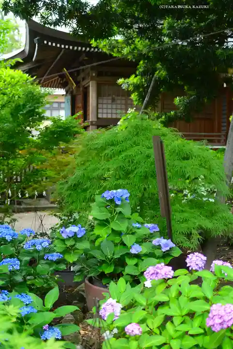 瀬戸神社(神奈川県)