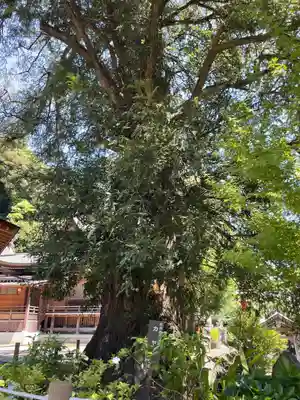 瀬戸神社(神奈川県)