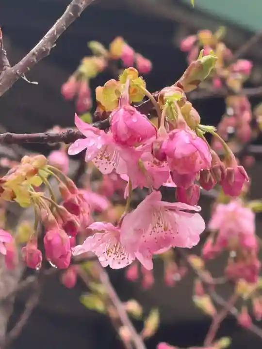 観音神社(広島県)