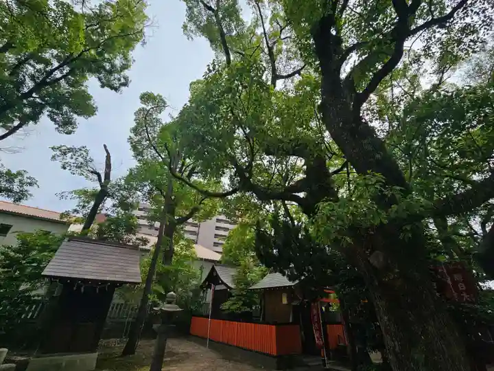 素盞烏尊神社(大阪府)