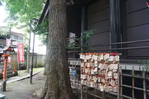 高円寺氷川神社の絵馬