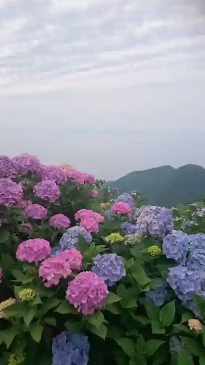 彌彦神社奥宮(御神廟)の景色