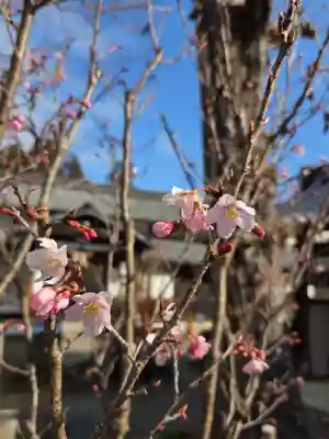 沙沙貴神社(滋賀県)