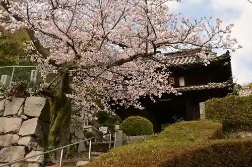 海禅寺(愛媛県)