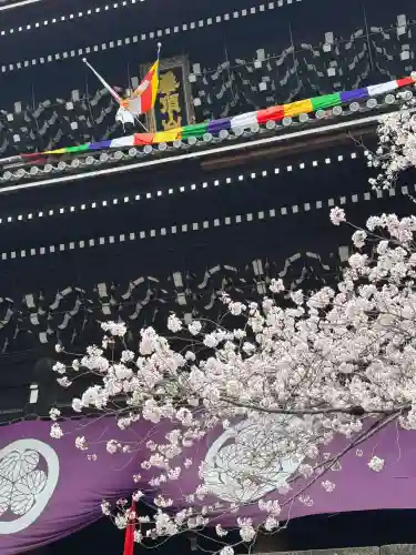 知恩院(京都府)