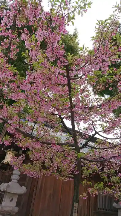 櫛田神社の自然