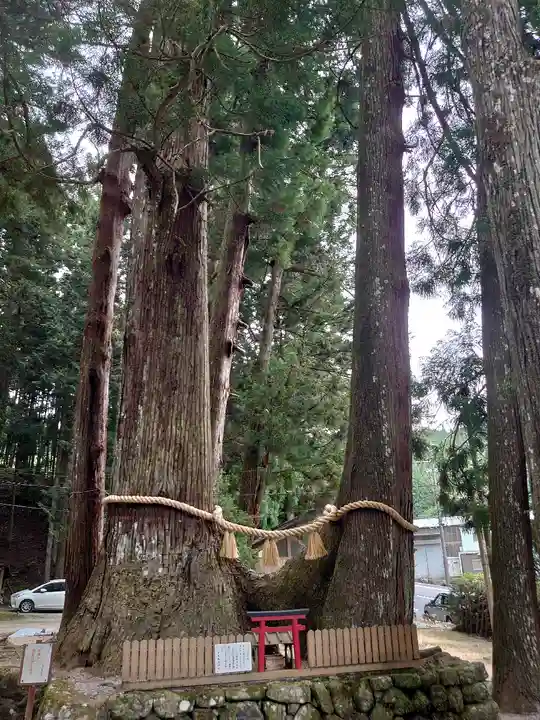 室生龍穴神社(奈良県)
