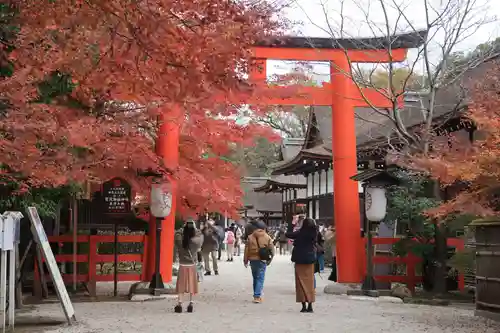 賀茂御祖神社（下鴨神社）の鳥居