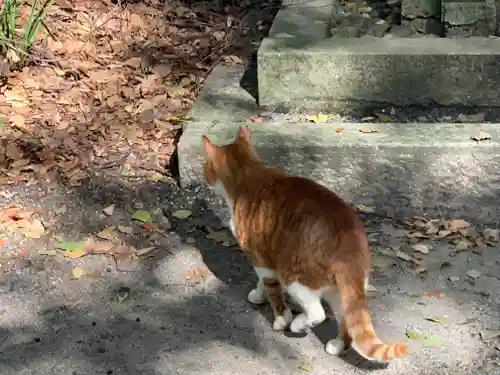 熱田神宮の動物