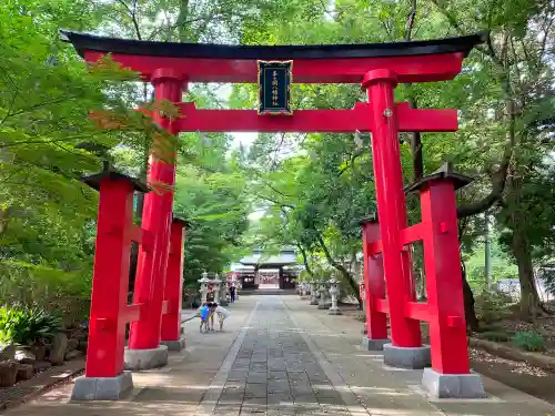 峯ヶ岡八幡神社の鳥居