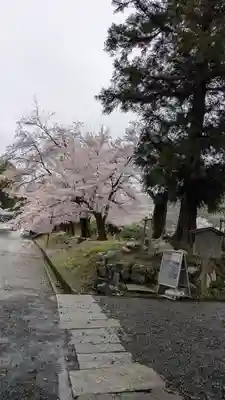 長尾天満宮(京都府)