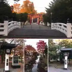 北海道護國神社(北海道)