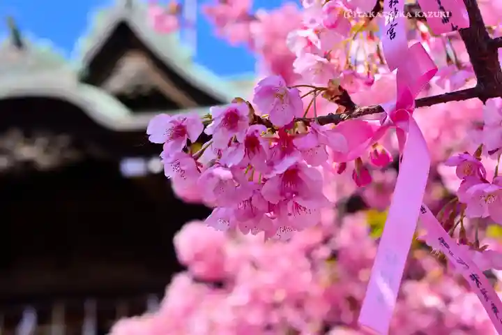桜神宮(東京都)