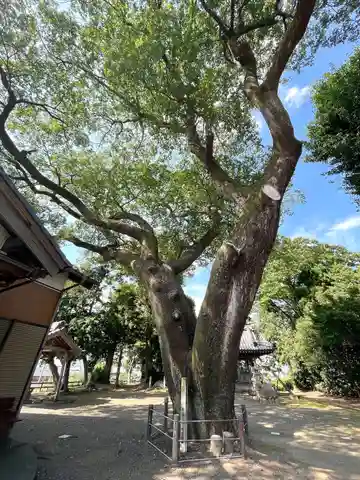 神明神社(岐阜県)