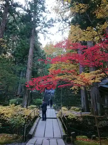 宝積山光前寺の庭園