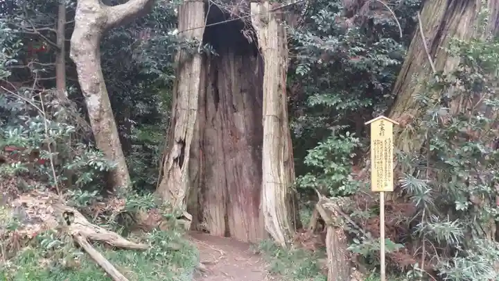 香取神宮の自然