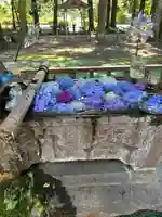 光丸山 法輪寺の手水舎