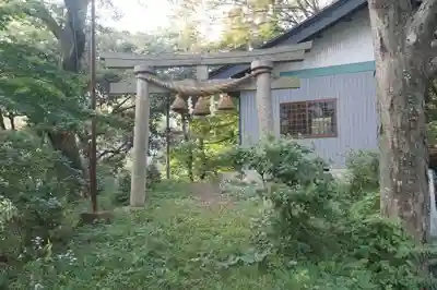 秋葉神社(蟹寺秋葉神社)の鳥居