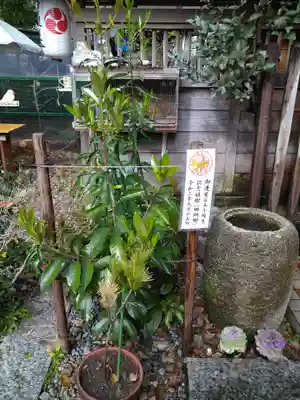 高知八幡宮(高知県)