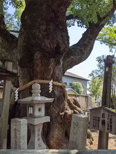 杭全神社のその他建物