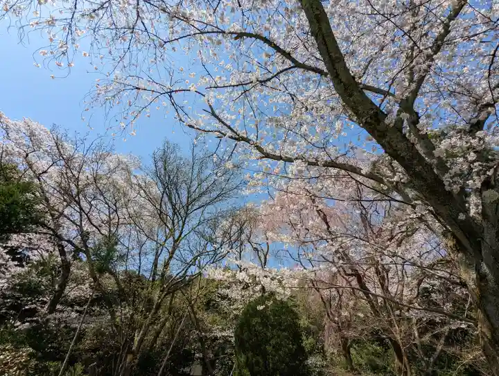 龍安寺(京都府)