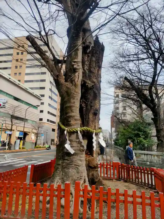 大國魂神社(東京都)