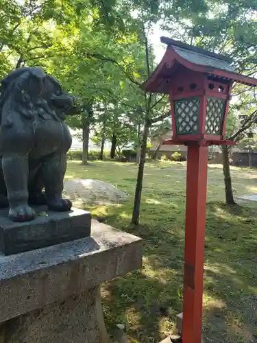 白山神社の狛犬