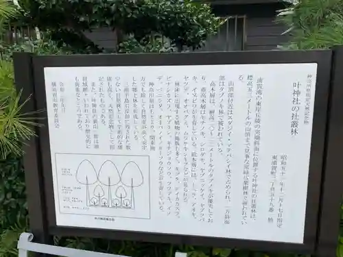 叶神社 (西叶神社)(神奈川県)