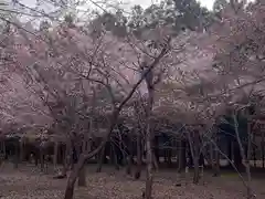 北海道神宮の自然