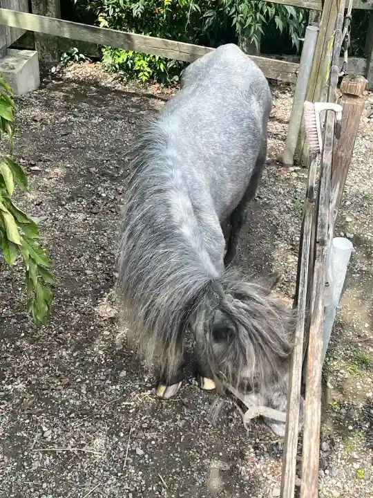 大石神社(京都府)
