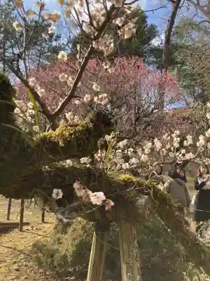 成田山新勝寺(千葉県)