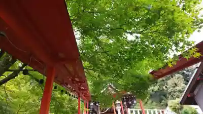 新宮神社のその他建物