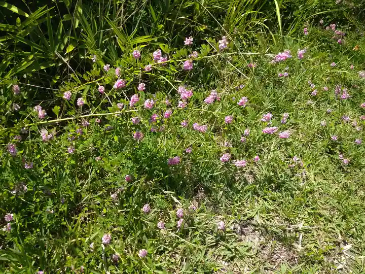 木華佐久耶比咩神社の自然