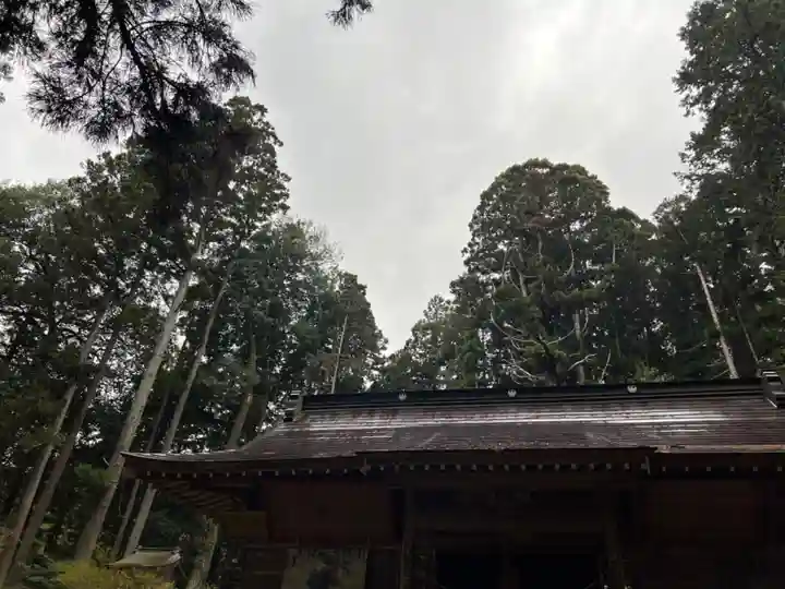 大宮温泉神社(栃木県)